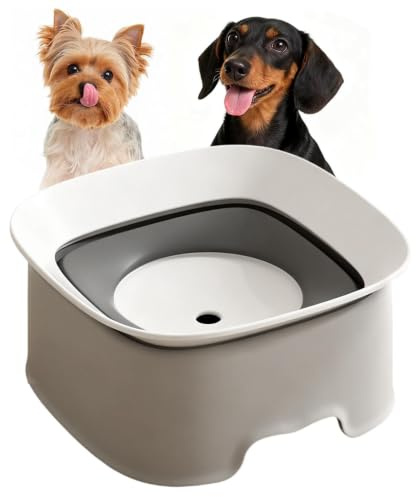 Bol d'eau pour Chien résistant aux éclaboussures - Plat à Boire Amovible po | Bol d'eau anti-avalement pour chien, pour la maison, le salon, la cuisine, l'appartement, la salle à manger, coin seul