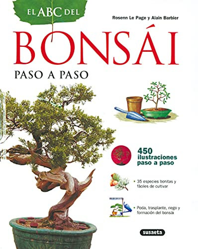 Abc Del Bonsai Paso A Paso
