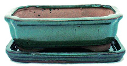 Bonsai med underlägg stor 2 – grön – fyrkantig – modell G12 – L 15,5 cm – B 11,5 cm – H 4,5 cm