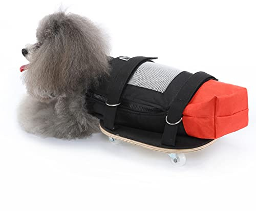 Sedia a Rotelle per Cani e Gatti per Zampe Posteriori, Scooter da Passeggio per Animali Domestici con Ruote Silenziose, Scooter per Cani con Assistenza per Gatti Disabili, Proteggi Il Torace e Gli (L