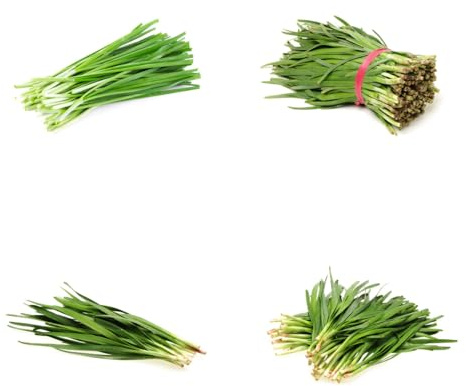 semillas de cebollino - tradicionales cebollino perenne para camas elevadas, jardín de para balcón 200pcs