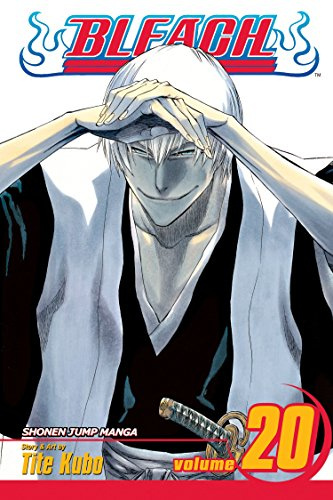 Bleach, Vol. 20: End of Hypnosis: Volume 20