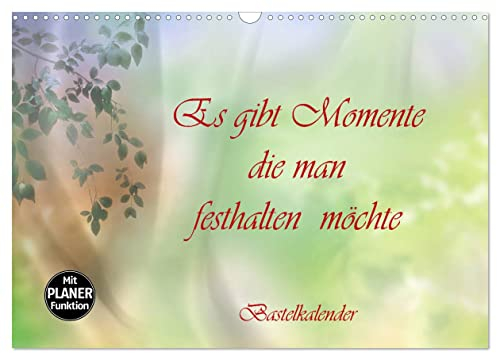 Es gibt Momente die man festhalten möchte (Wandkalender 2025 DIN A3 quer), CALVENDO Monatskalender