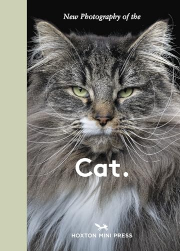 New Photography of the Cat.: The best new photography of cats.