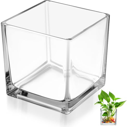 HOMOBABE Jarrón de Cristal Transparente Cuadrado 10x10 Cm, Recipiente Hidropónico Grueso para Flores, Florero Decorativo Moderno para Interior y Oficina