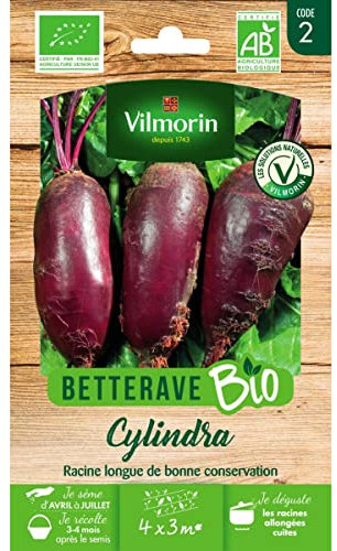 Vilmorin - Sachet graines Betterave Cylindra BIO