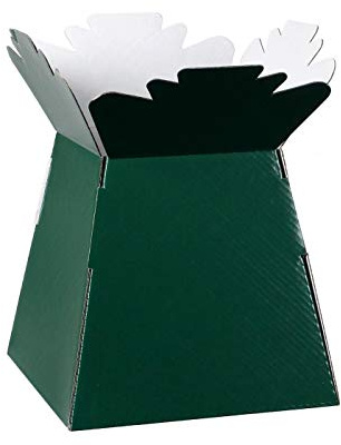 Hand-Tied Vase Florist Bouquet Boxes | Aqua Presentation & Transporter Boxes | Pack of 1 | Durable Flower & Plant Packaging | Glossy Green