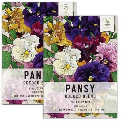 Pacchetto di 600 semi, rococó Pensamiento Semillas (Viola germania)