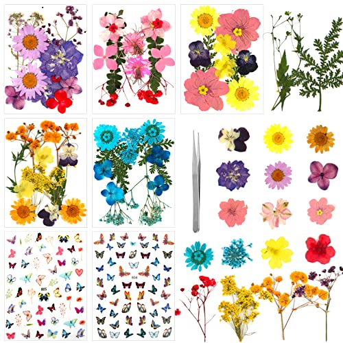 Set di fiori secchi pressati e naturali multicolore Foglie secche miste per candele in resina Trucco fai-da-te artigianato con adesivi e farfalle