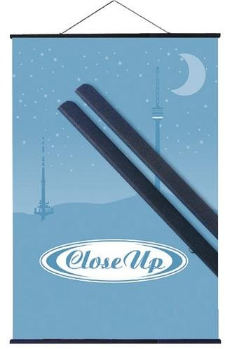 Kunststoff Posterleisten schwarz (70 cm) Poster-Aufhänger, Posterschienen, Plakatleisten, Klemmschienen (27,5 inch)