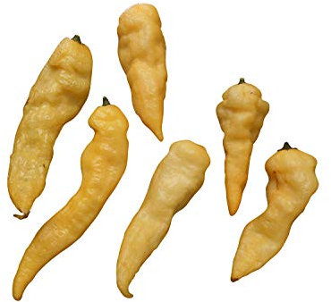 Bhut Jolokia Peach (un des piments les plus forts au monde) 10 graines ** rareté rareté **