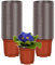 KPYZLBD Anzuchtköpfe 100 Stück, Pflanztopf Plastik 10cm, Grow Töpfe, Pflanzenbau Töpfe Pflanzen, Pflanzliche Saatgutanbau Blumentopf, Häufig für Gemüse, Obst und krautige Pflanzen Universal