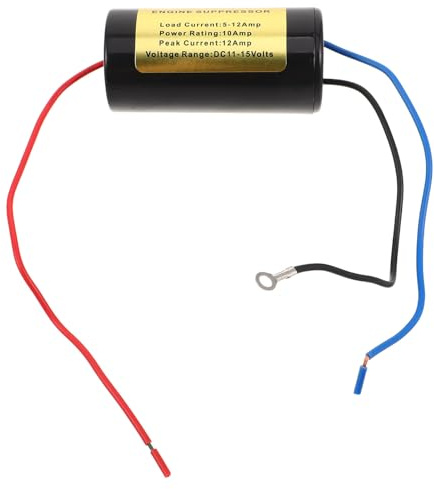 RUNROTOO Filtre Anti-Parasites pour Autoradio 12 Amp en Métal et Cuivre, Suppresseur de Bruit Moteur pour Systèmes Audio Automobile, pour Projets de Modification de Voiture