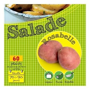 Rosabelle Rouge 60 Plants de pomme de terre