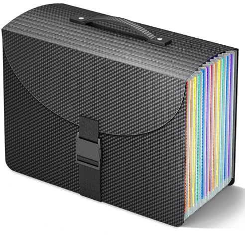 Fun Storage File Organiser Box Files Folder,13 Pockets Document Organiser Paperwork Organiser with Handle,Concertina File Expanding A4 Filing Folders for Home Office Home and Traveling, 2 x Tab