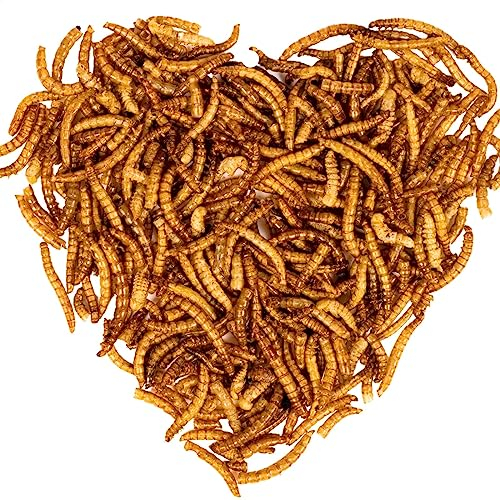 Lyra Pet® | 10 kg Mehlwürmer | Ideal für Zier- und Teichfische | Schonend Getrocknet | Proteinreiches Fischfutter | Reich an Vitaminen & Mineralstoffen | Nährstoffreiche Energiequelle für Koi