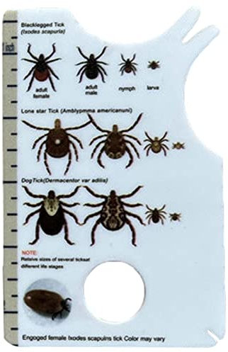 YangHaoDiSY Tick Card-Tick Scale Card with Magnifying Glass-Tick Remover Tools for People, Dogs, Cats