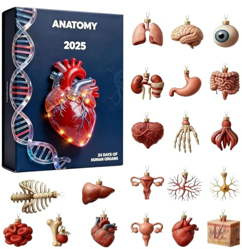 Walopola Calendario de cuenta regresiva de Navidad, colgante 2D de Adviento 2025 de 24 días, calendario de de ciencia de órganos corporales | para médicos, enfermeras, profesores, estudiantes