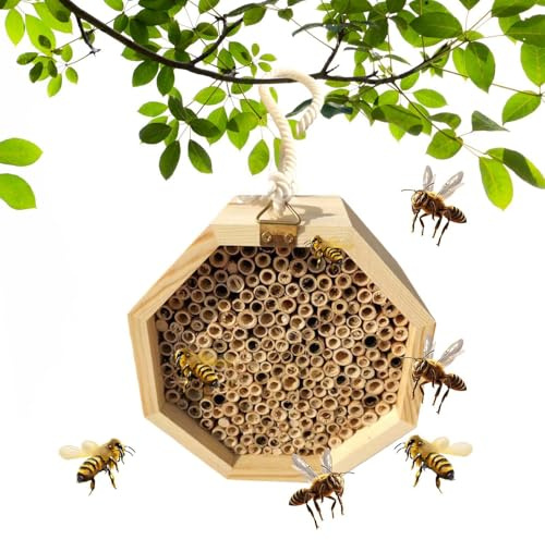 Wooden Beehive Box, Natural Bee House, Portable Bee Breeding & Harvesting Tool, Hanging Wasp Habitat, Beekeeping Equipment for Garden Balcony Backyard Outside Patio