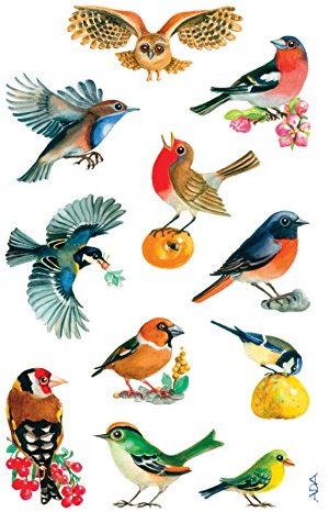 AVERY Zweckform Papier Sticker Vögel 33 Aufkleber (Dekosticker, Tiersticker, selbstklebend, Kindergeburtstag, Mitgebsel, Scrapbooking, Fotoalbum, Tagebuch, Bullet Journal, Dekorieren, Basteln) 55713