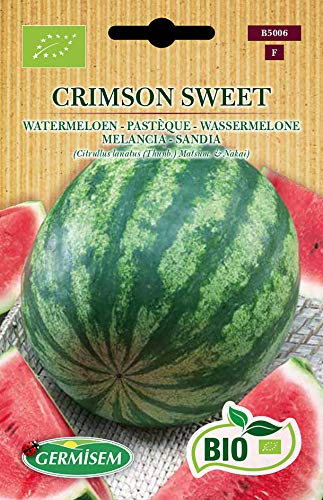 Germisem Bio Graines Pastèque CRIMSON SWEET