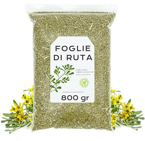 Feuille de Rue 800gr - Rue Séchées - Thé Rue - Rue Tisane - Feuilles de Rue en Vrac (800 gr)