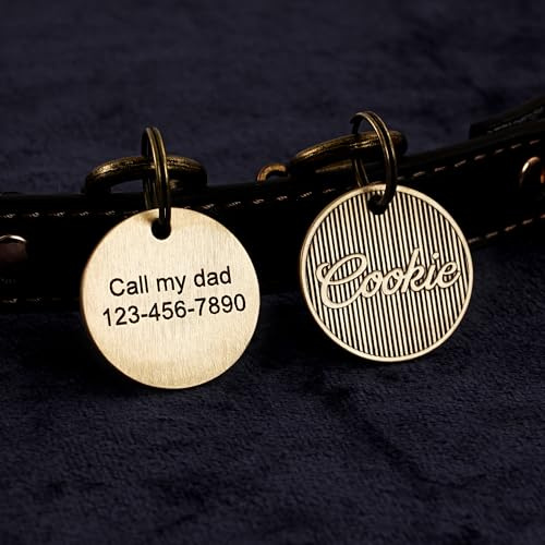Médaille d'identification personnalisée pour animal de compagnie, pour chien et chat, collier rond en laiton