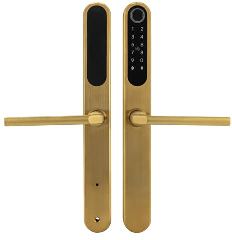 Serratura per porta intelligente con impronte digitali, serratura intelligente con maniglia, serratura per porta digitale, maniglia per porta intelligente con impronta digitale (oro)