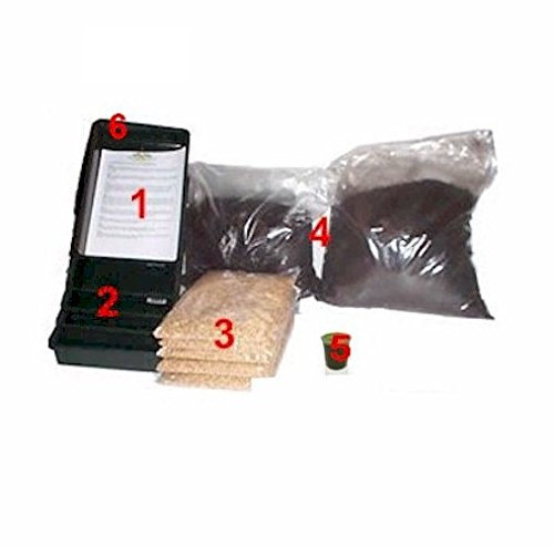 Brow Farm Wheatgrass Growing Kit Grow Fresh Wheatgrass