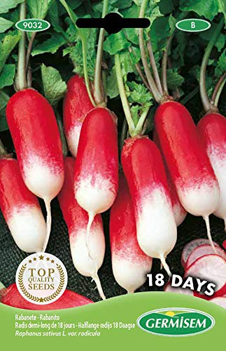 Germisem graines Radis demi-long de 18 jours