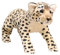 39cm Plüschtier Schneeleopard, Lebensechte Löwe Tiger Leopard Simulation Kuscheltiere PlüschtiereStofftier Leopard Kuscheltier Weiche Plüsch Spielzeug für Kinder Jungen Mädchen (39 cm,Leopard)