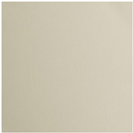 Vaessen Creative Florens texturerad kartong, musgrå, 216 gram, 30 x 30 cm, 20 ark, för scrapbooking, korttillverkning, stansning och andra pappershantverk, 30 x 30 cm