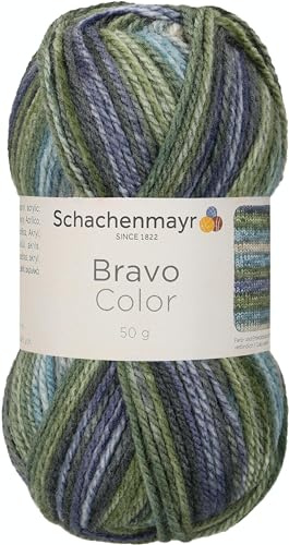 Schachenmayr Bravo Color 9801421-02122 moor Handstrickgarn, Häkelgarn