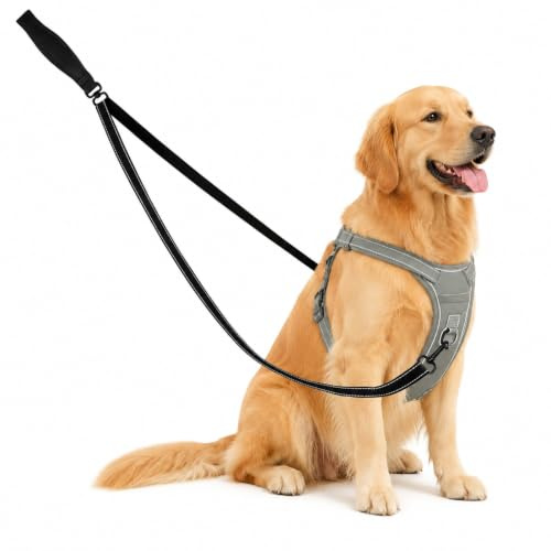 Double Ended Lead for Medium and Large Dog, 2 Point Control Dog Lead with 360° Swivel Clip, Soft & Durable No Pull Dog Lead, Anti Tangle Dual Clip Dog Leash for Everyday Walking and Training (Black)