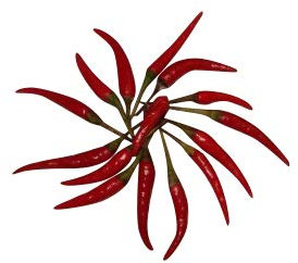 20 rojo Thai caliente pimienta semillas, por samenchilishop – Semillas store-