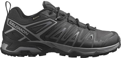 Salomon Herren X Ultra Pioneer Gore-tex Hiking Shoe, Phantom Black Quiet Shade, 40 EU