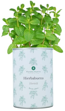 PLANETA HUERTO | Kit de Cultivo de Aromáticas Hierbabuena Planeta Huerto – Plantación Fácil para Infusiones y Cócteles