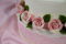 Hobbybäcker, Marzipanrosen in Weiß/Rosa, 18 Stück, Ø 3,5 cm