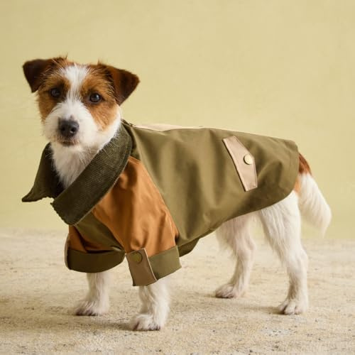 Rosewood x Joules Kennington Coat for Dogs, Medium, Washable, Lightweight Jacket, Water-Resistant Dog Coat for Medium Dogs