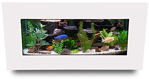 Aussie Aquariums AA-Skyline-MWHITE 2.0 Wall Mounted Aquarium, Matte White