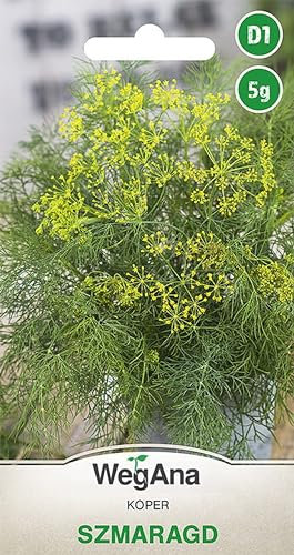 WegAna Semi di aneto Aneto Szmaragd 5g Aneto da giardino Semi di ortaggi robusti Semi di ortaggi Semi di coltivazione
