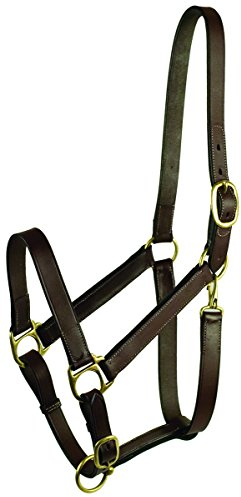 Gatsby Adj Turnout Lederhalfter mit Druckknopf, Übergröße