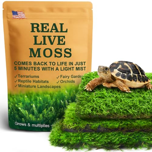 Live Moss Variety Pack for Reptiles– 3-Pack Mixed Real Terrarium Mosses (Each 3.5 x 7) – Live Sheet/Sphagnum Moss for Snake Gecko Turtle Frog Habitats, DIY Plant Décor – Fresh Reptiles Substrate