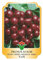 Vannucci Piante - Alberi da frutto, piante vere da frutta, piante giovani, piante da esterno (Ciliegio - Prunus avium varietà autofertile)
