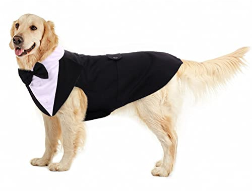 Hund bröllopskostym, smoking kostymer formella festkläder skjorta hundkläder Tuxedo hundfluga bröllop med avtagbar rosett bandana för små, medelstora och stora hundar (svart, XXL)