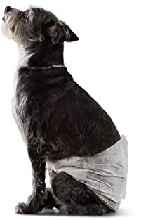 Amazon Basics Hundewindel für Rüden, Einwegwindeln, Größe S, Weiß, 50 Stück