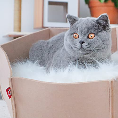 CanadianCat Company | Filzlounge AVA | L beige | Katzenbett aus Filz, Katzennest, Filzbett, Katzenkorb, Katzenkissen, Liegeplatz, Haustierbett