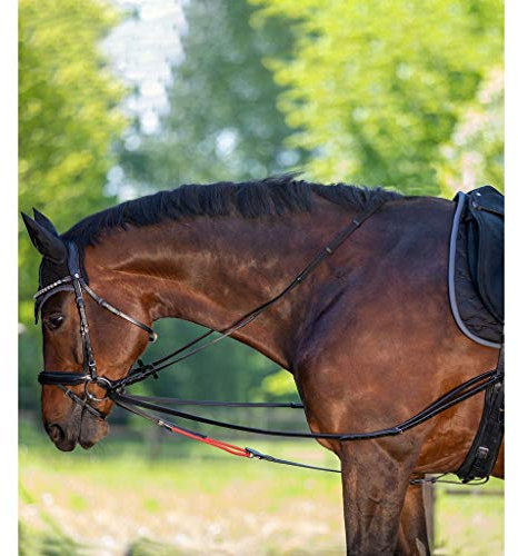 WALDHAUSEN W-TRAINREIN Leder-Dreieckszügel: Reitzubehör, Longierzubehör, Flexible Ausbinder für Pferdeausbildung, Reithilfe und Pferdegymnastik, PON, schwarz