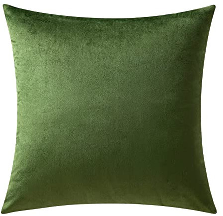 MIULEE 1 Stück Samt Kissenbezug Kissenhülle Dekorative Sofakissen Dekokissen Deko Couchkissen Zierkissen Bezug mit Verstecktem Reißverschluss für Sofa Schlafzimmer 60x60 cm Matcha Grün