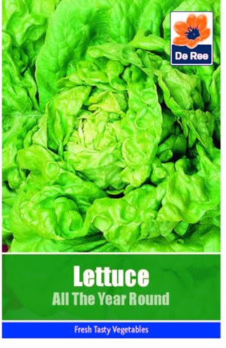 Vegetable Seeds for Growing Lettuce All The Year Round 1450 Seeds Grow Your Own Garden Vegetable Salad Herb Seed